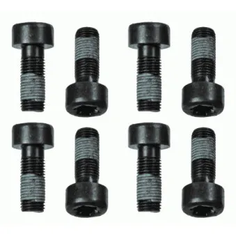 Visserie, volant moteur SACHS 1874 000 060
