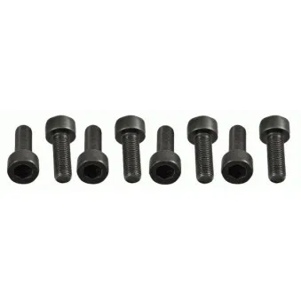 Visserie, volant moteur SACHS 1874 000 062