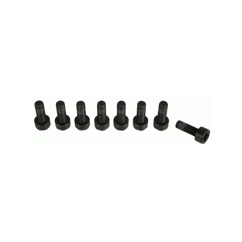 Visserie, volant moteur SACHS 1874 000 066