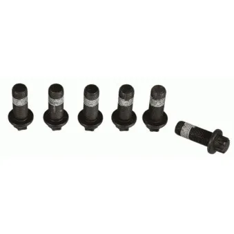 Visserie, volant moteur SACHS 1874 000 067