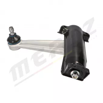 Triangle ou bras de suspension (train avant) MERTZ M-S2131
