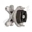 Suspension, boîte automatique MERTZ M-S4851 - Visuel 2