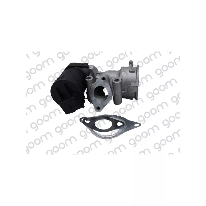 Vanne EGR GOOM EV-0028