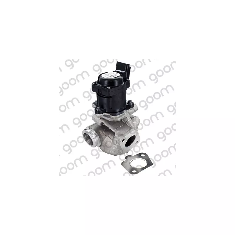 Vanne EGR GOOM EV-0048