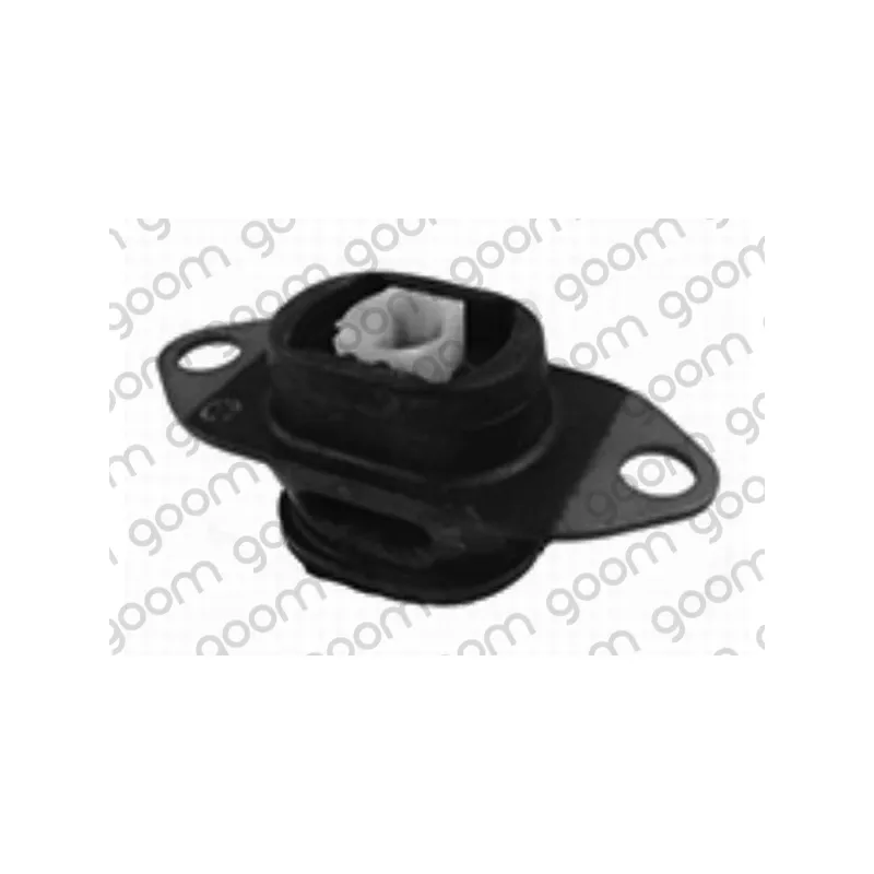 Suspension, boîte de vitesse manuelle GOOM GM-0034