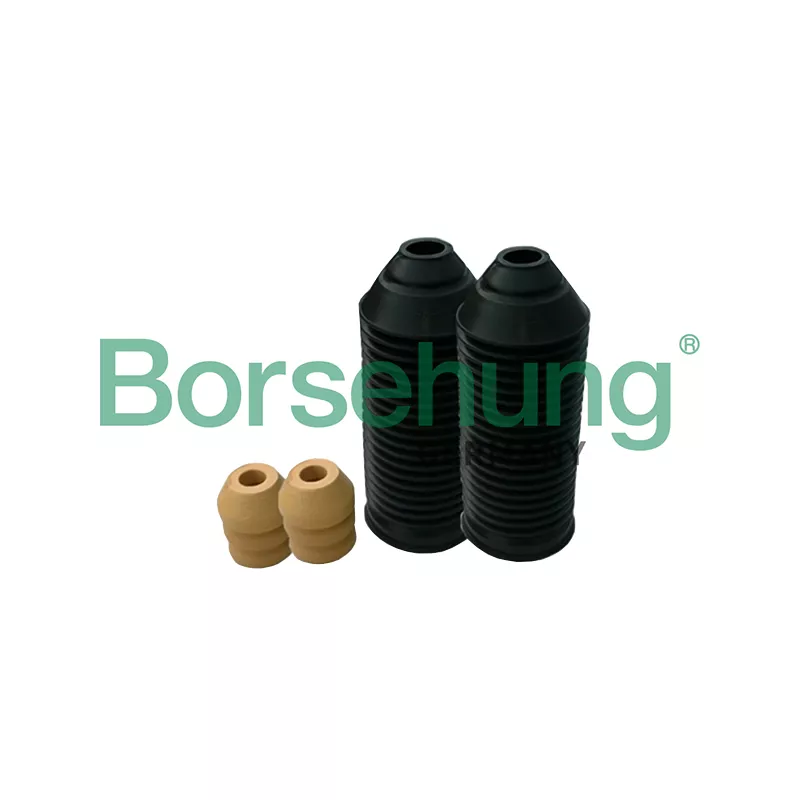 Kit de protection contre la poussière, amortisseur Borsehung B10021