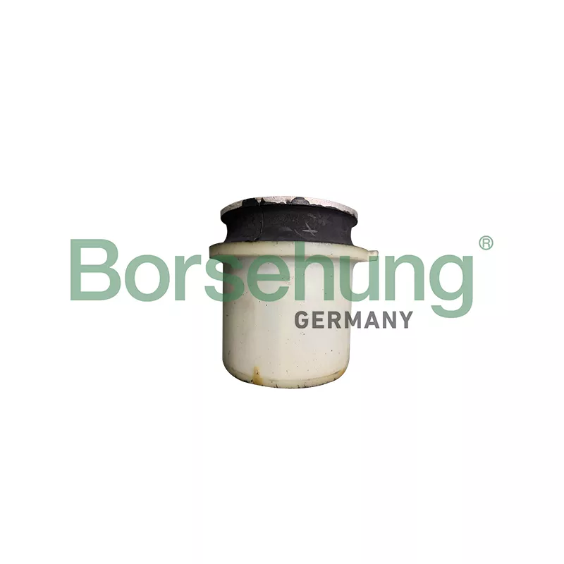 Suspension, corps de l'essieu Borsehung B10030