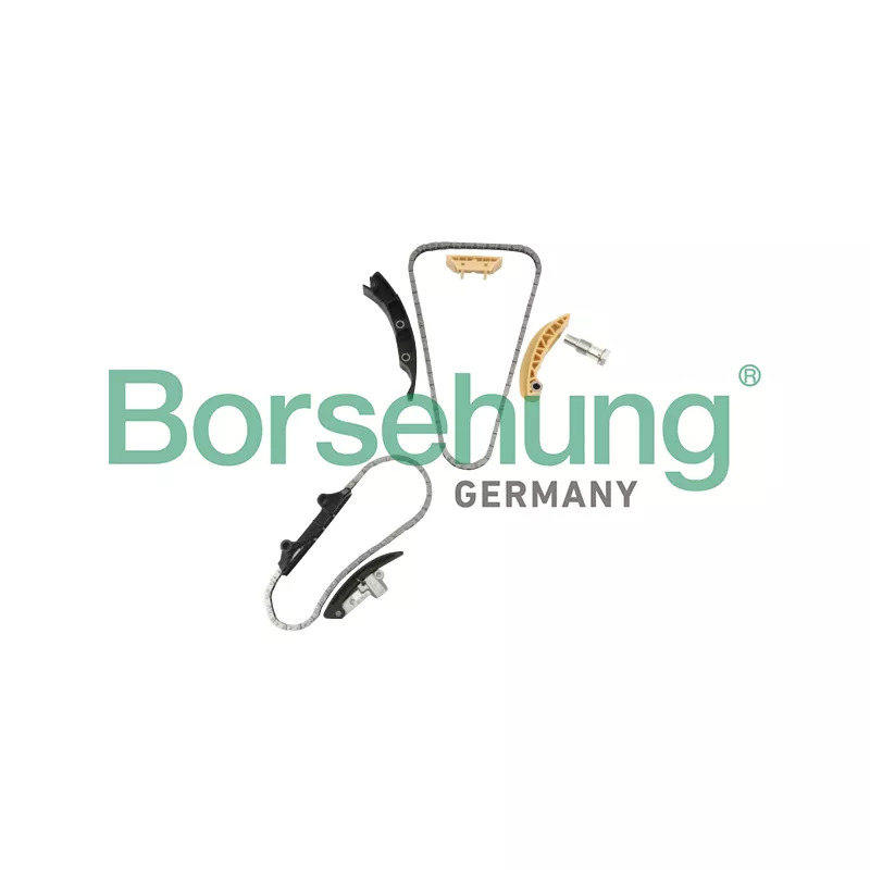 Kit de distribution par chaîne Borsehung B10207