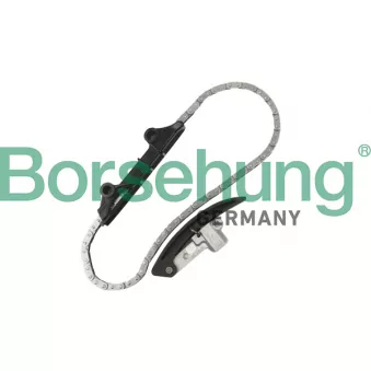 Kit de distribution par chaîne Borsehung B10209