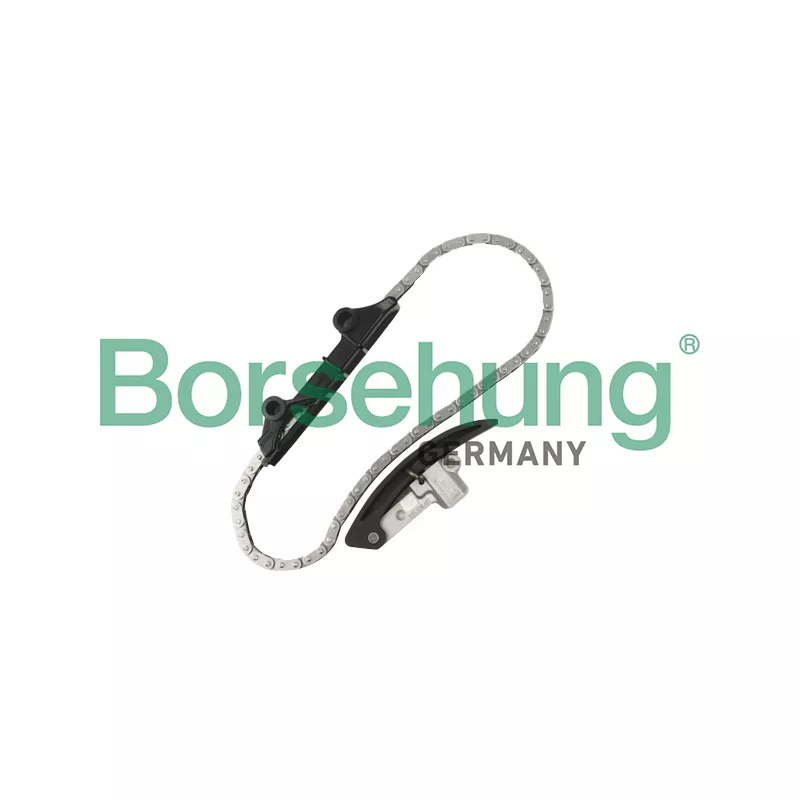Kit de distribution par chaîne Borsehung B10209
