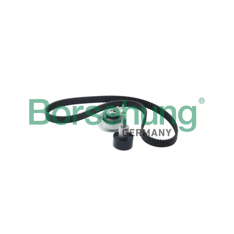 Kit de distribution Borsehung B10210