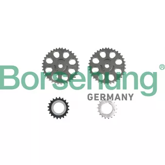 Kit de distribution par chaîne Borsehung B10212