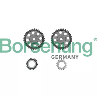Kit de distribution par chaîne Borsehung B10213