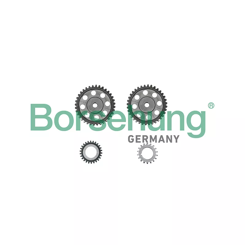 Kit de distribution par chaîne Borsehung B10213