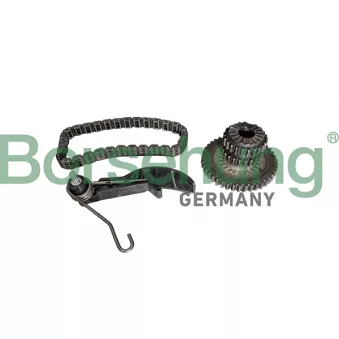 Kit de distribution par chaîne Borsehung B10218