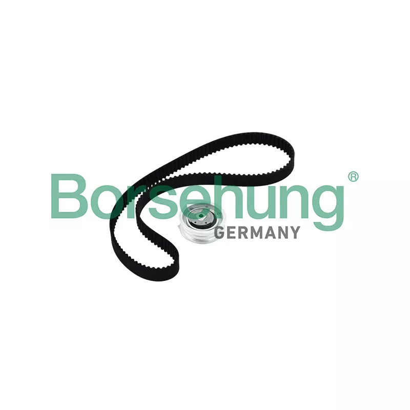 Kit de distribution Borsehung B10219
