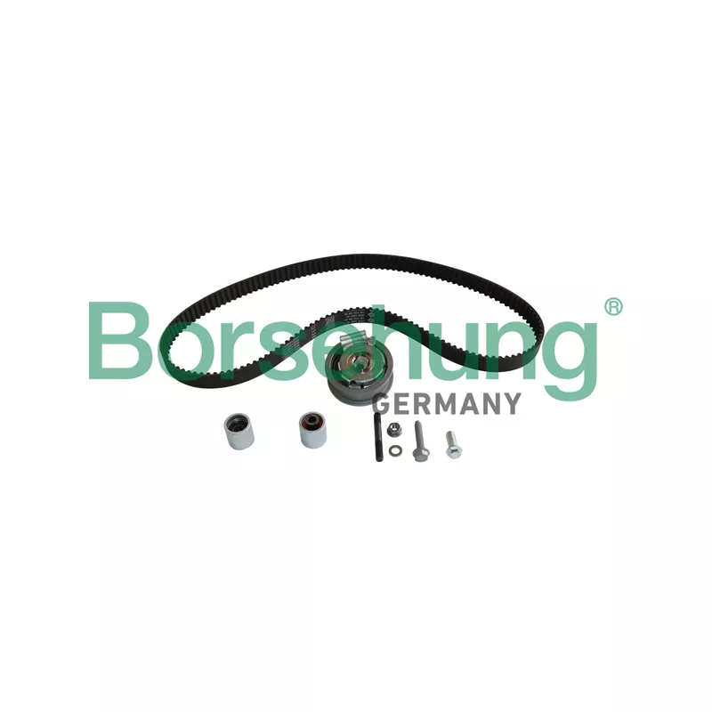 Kit de distribution Borsehung B10226