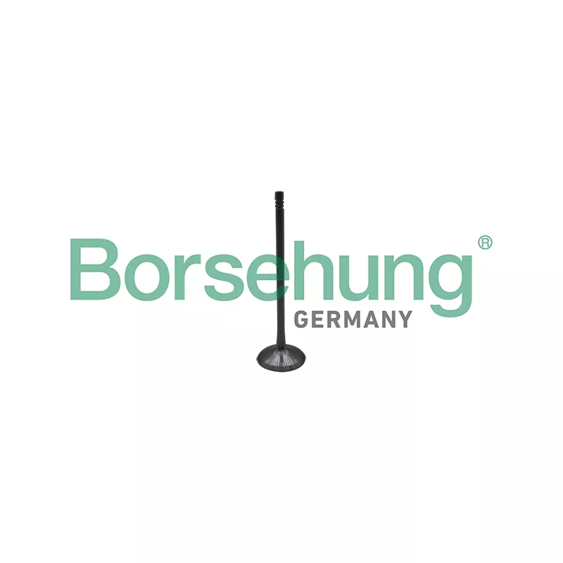 Soupape d'admission Borsehung B10323