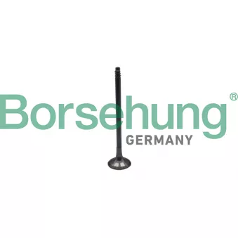 Soupape d'émission Borsehung B10324