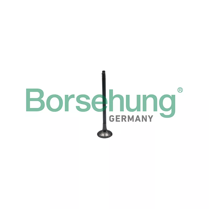 Soupape d'émission Borsehung B10324