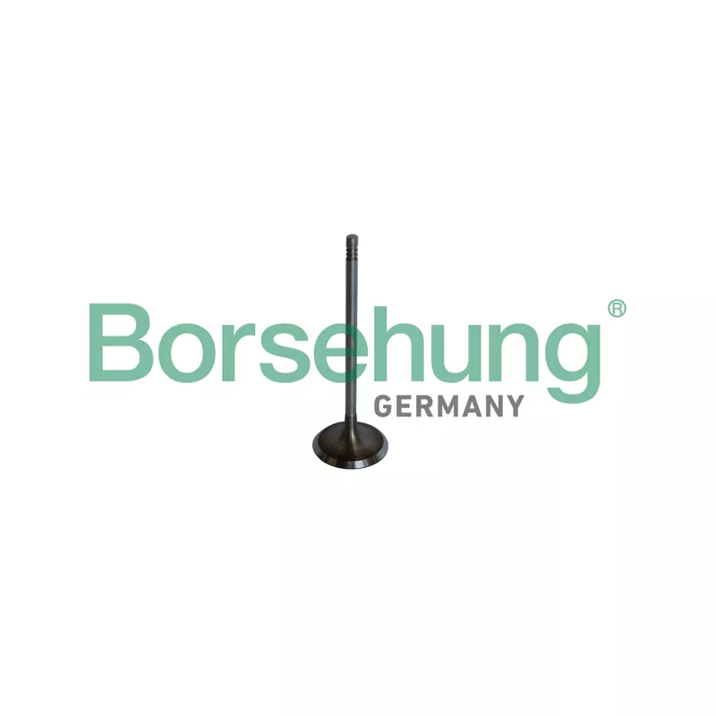 Soupape d'admission Borsehung B10325