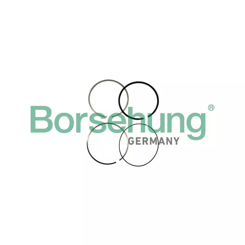 Jeu de segments de pistons Borsehung B10361