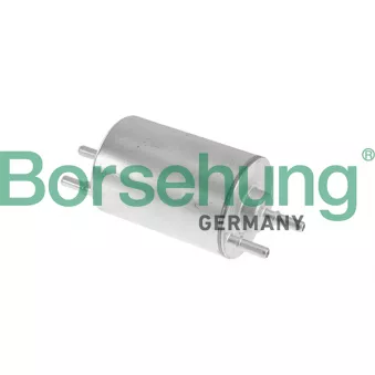 Filtre à carburant Borsehung B10479