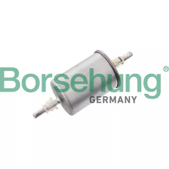 Filtre à carburant Borsehung B10483