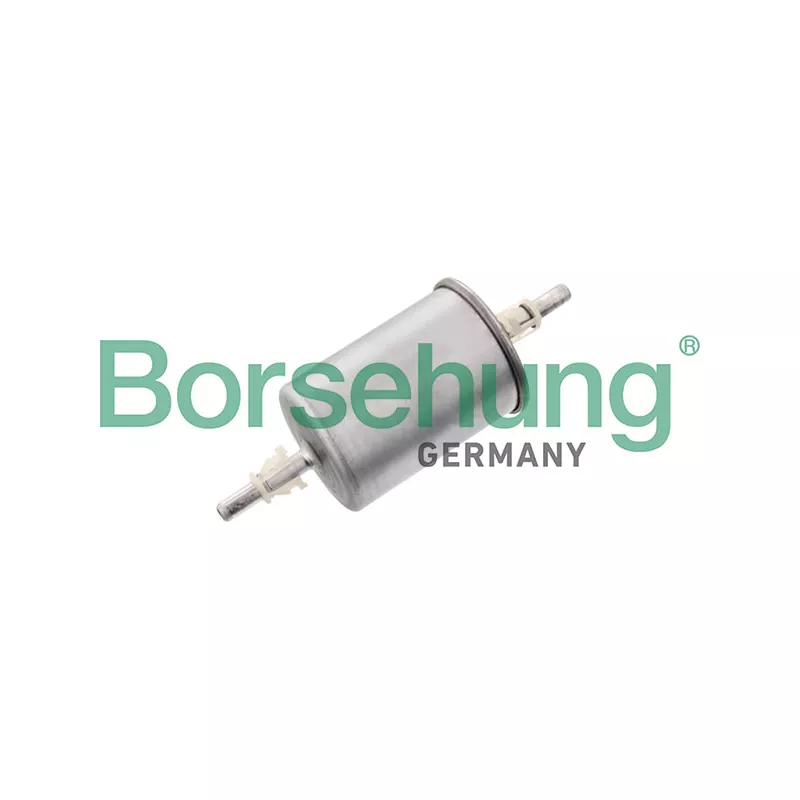 Filtre à carburant Borsehung B10483