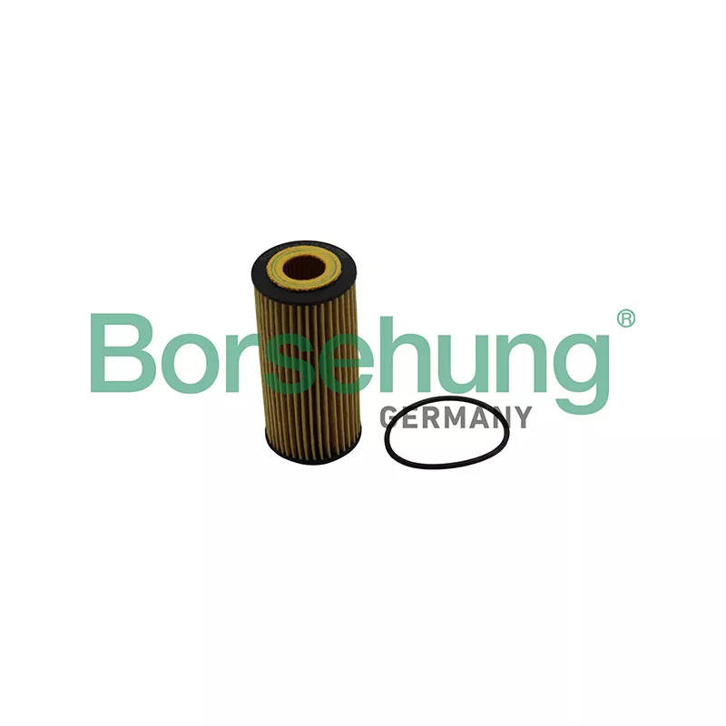 Filtre à huile Borsehung B10511