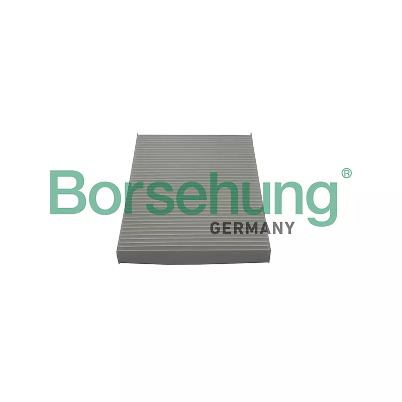 Filtre, air de l'habitacle Borsehung B10515