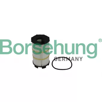 Filtre à huile Borsehung B10517