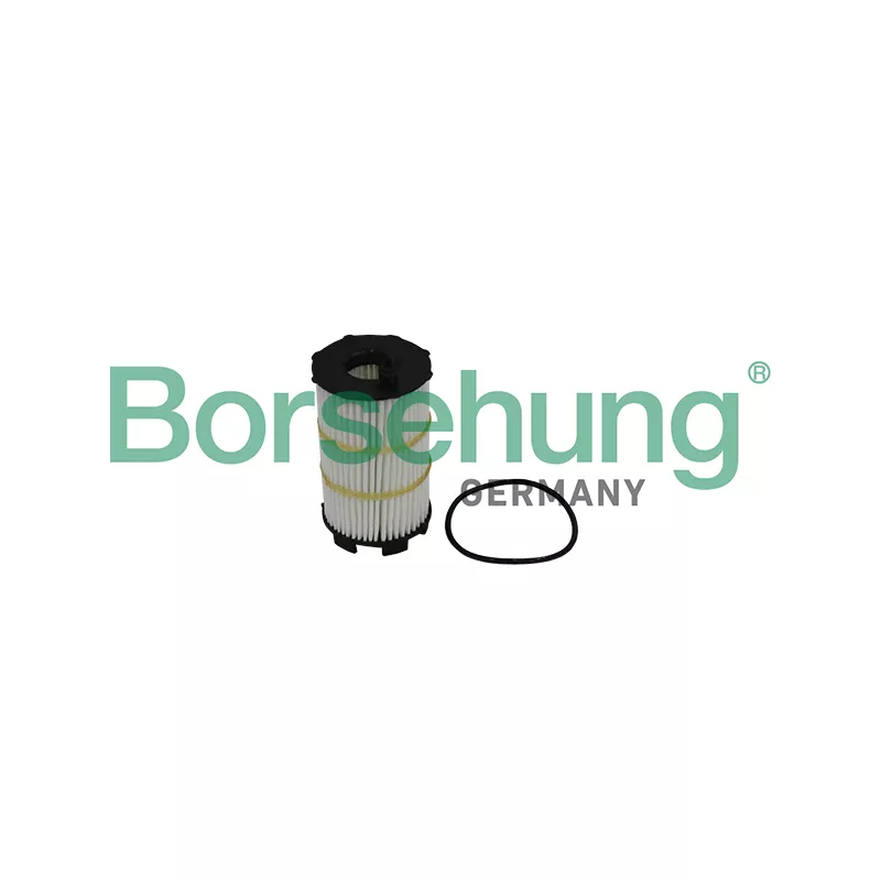Filtre à huile Borsehung B10517