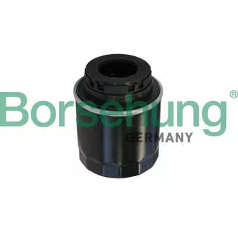 Filtre à huile Borsehung B10527