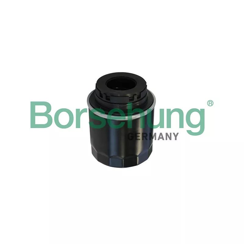Filtre à huile Borsehung B10527