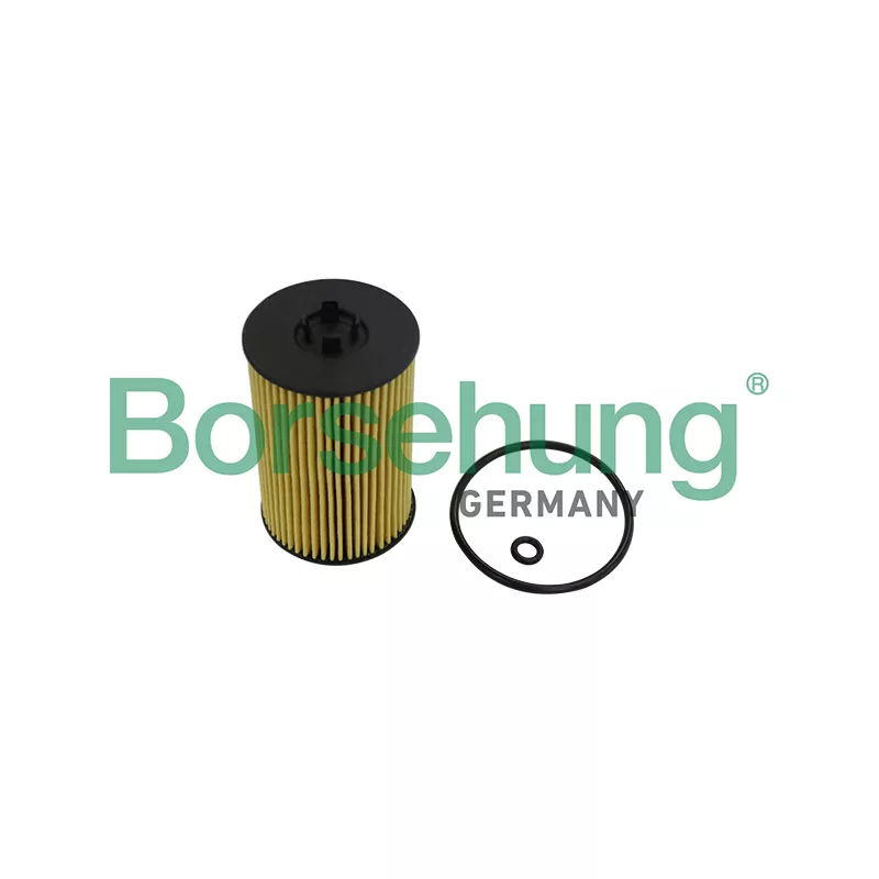 Filtre à huile Borsehung B10532