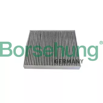 Filtre, air de l'habitacle Borsehung B10534