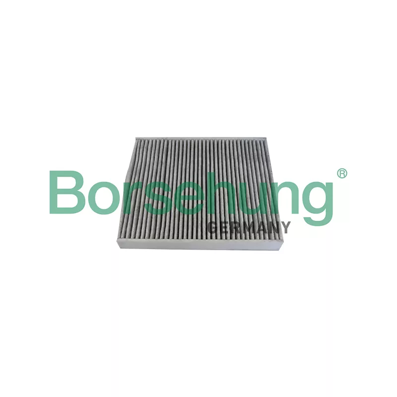 Filtre, air de l'habitacle Borsehung B10534