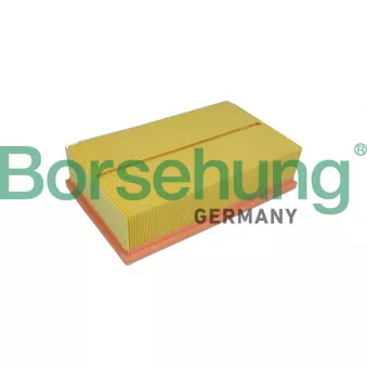 Filtre à air Borsehung B10537