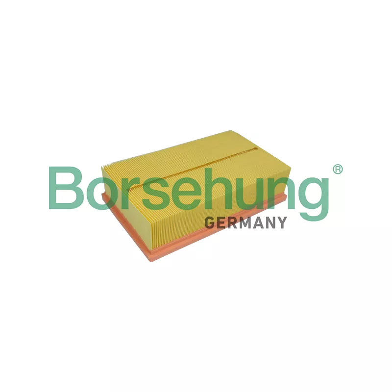 Filtre à air Borsehung B10537