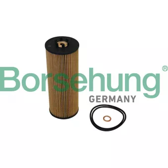 Filtre à huile Borsehung B10544