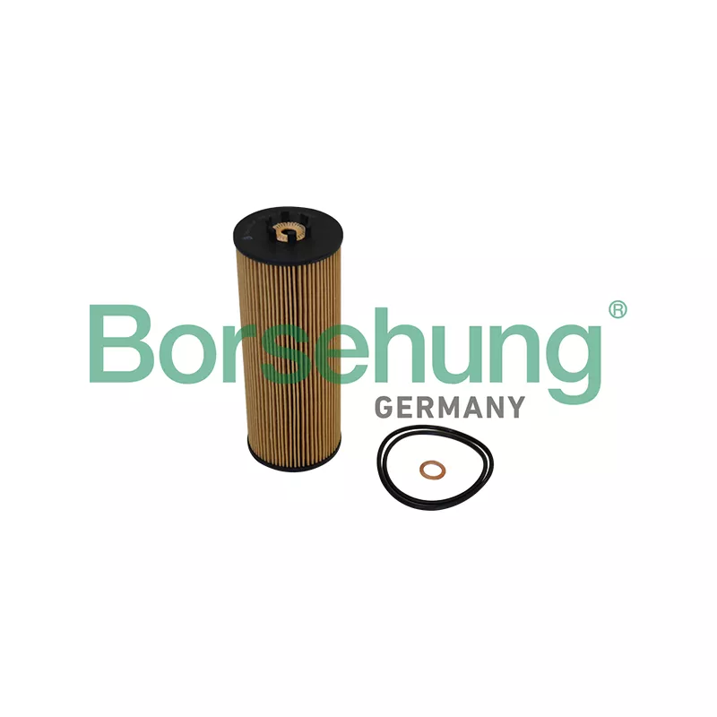 Filtre à huile Borsehung B10544