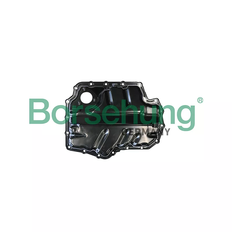 Carter d'huile Borsehung B10624