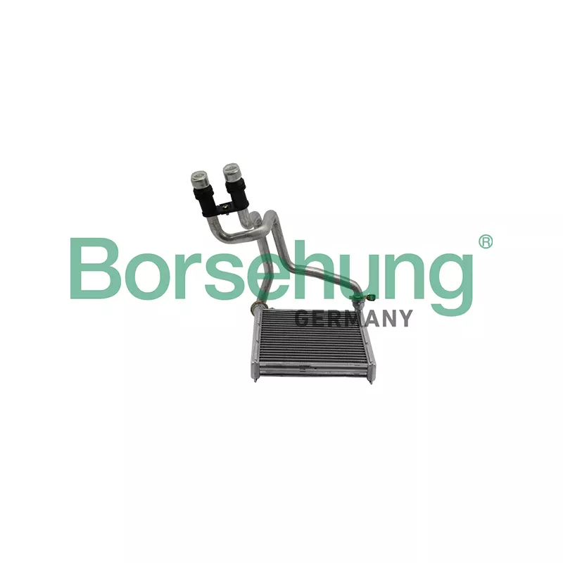 Système de chauffage Borsehung B10876