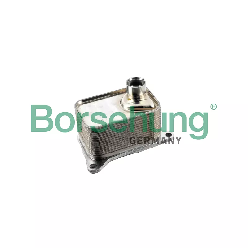 Radiateur d'huile Borsehung B10877