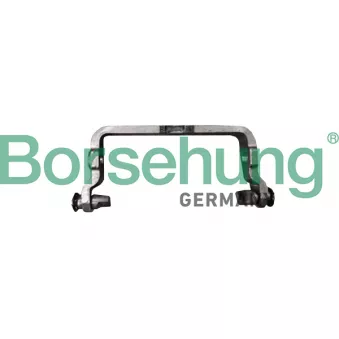 Fourchette Borsehung