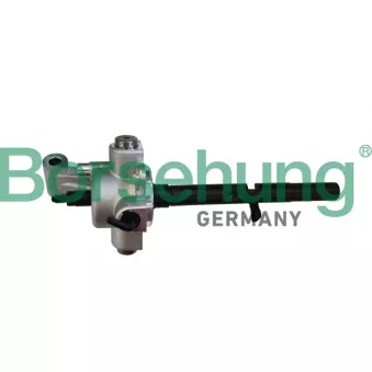 Pommeau Borsehung B10914