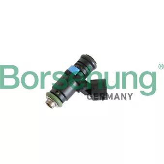 Injecteur Borsehung B11159