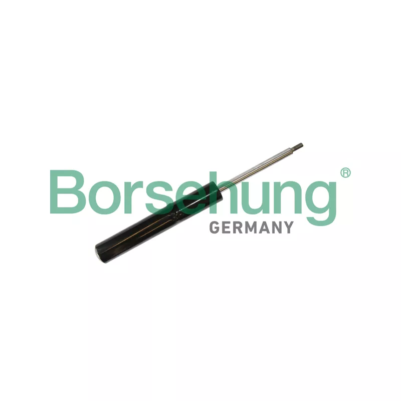 Jeu de 2 amortisseurs avant Borsehung B11182