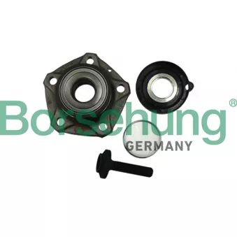 Roulement de roue arrière Borsehung